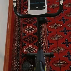 sport enjamlar