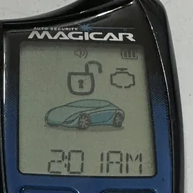 Gok Magicar