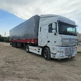 DAF 460 2010