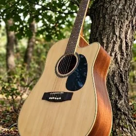 Gitara. Гитара