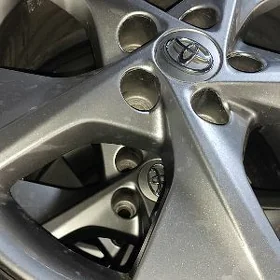Diska pakryska  S Palta Camry
