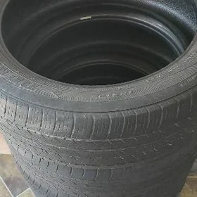 Pakryska 235/50/19