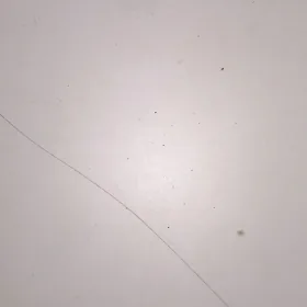 Çopon gerek