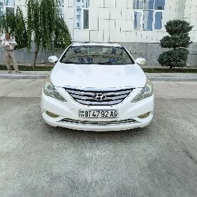 Hyundai Sonata 2010