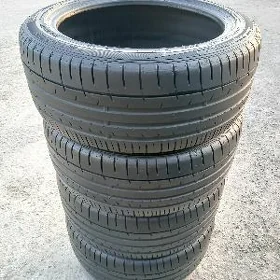 Dunlop 245 45 18 Arginal Teker