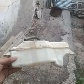 Antifiriz baçok butin