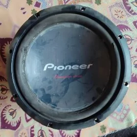 Pioneer bocka