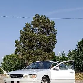 Nissan Cefiro 1995