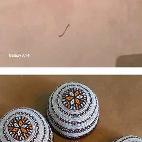 keşdeçi gerek