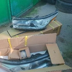 haylandyryň farasy