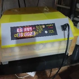 Inkobator