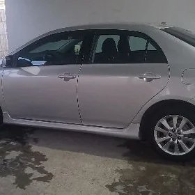 Toyota Corolla 2010
