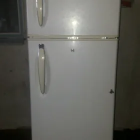 LG HALADILNIK BOÝY 1.65  60