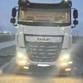 DAF 480 2019