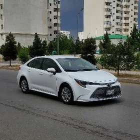 Toyota Corolla 2023