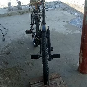 tigir