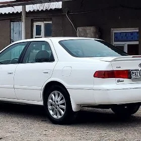 Brosga diska