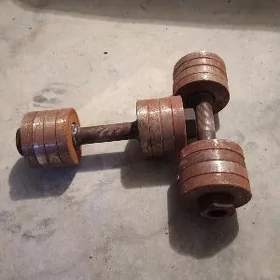 Gantel Ikisi bile 300 manat