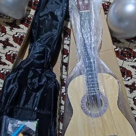 ŽYLKA TARLY GITARA
