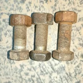 paşmagyň boltlary