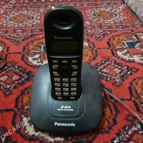 Domaşnii Panasonic