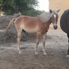 at