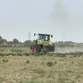 Kärendeçi potratçy