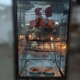 Gril aparat
