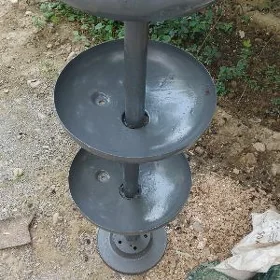 polka prlanya