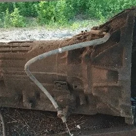 mark 2,5 karopka