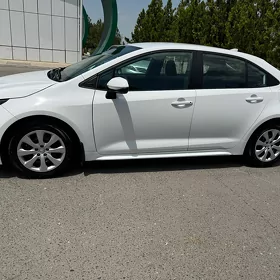 Toyota Corolla 2024