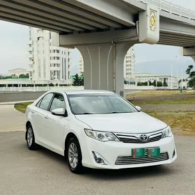 Toyota Camry 2013