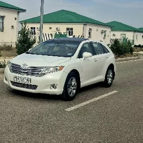 Toyota Venza 2010