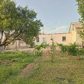 pylan jaÿ