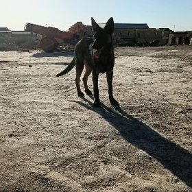 Awçarka