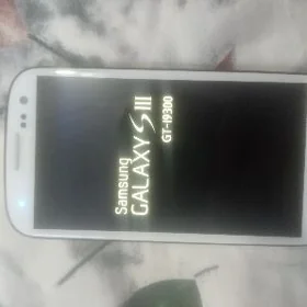 s 3