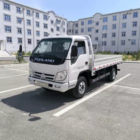 Forland H3 2014