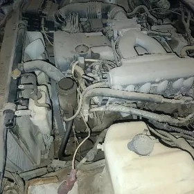 motor koropka