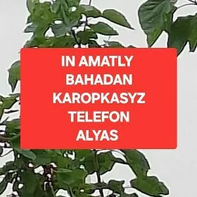 Karopgasyz tel alyas.not 15pro