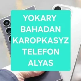 Karopgasyz tel alyas. Pura 80