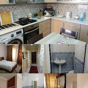 квартира мир 7