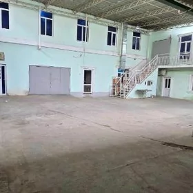 Arenda sklat ammar seh  palato