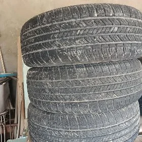 tigir 65 15 205