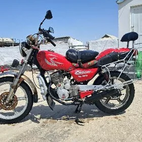 Fekon FK150-8G 2013
