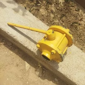 zadwişga