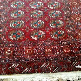 gadym el haly