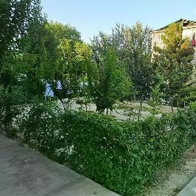 Ipateka  1 kom 4mkr