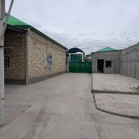 АНЕВ