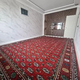 Daroşka Haly