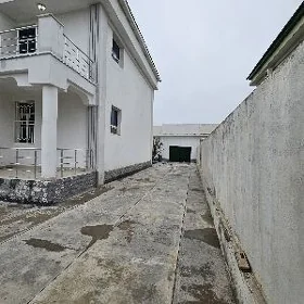 Buzmeyin gunesh kotej